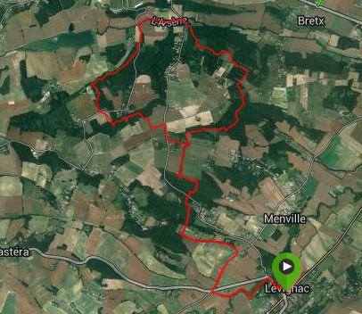 ForestTrail